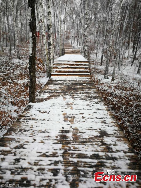 The first snow of the winter hits Heihe City, Northeast China’s Heilongjiang Province, Oct. 15, 2018. (Photo/VCG)