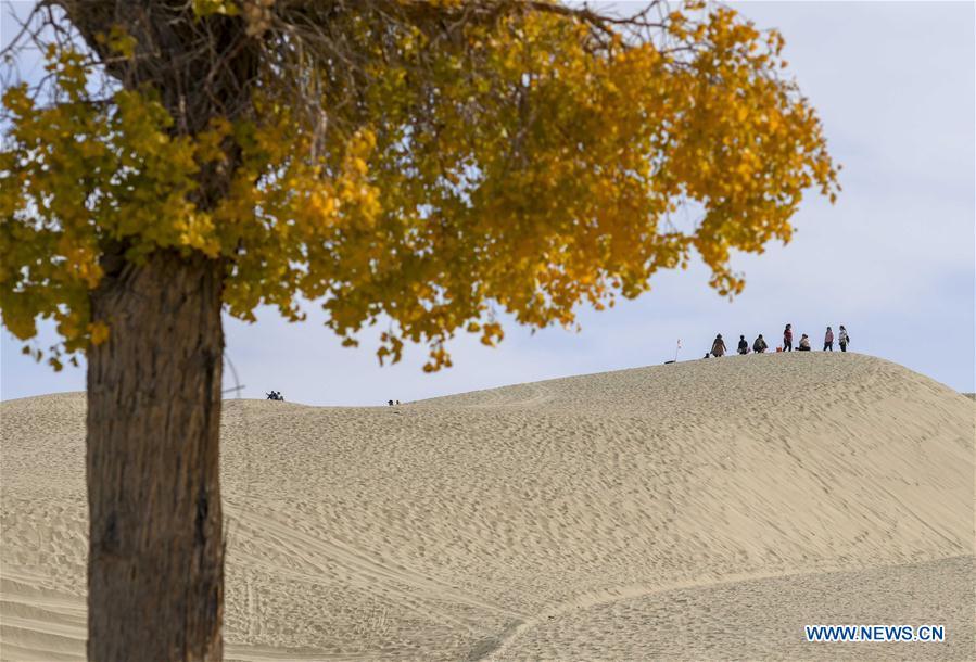 Tourists view scenery on a sand ridge in Lop Nur People Village of Yuli County, northwest China\'s Xinjiang Uygur Autonomous Region, Oct. 16, 2018. The Lop Nur people depended basically on fishing for livelihood and developed a distinct culture based on their special lifestyle. Located in Tarim basin, Yuli is known for its natural scenery and ethnic culture and keeps attracting numerous tourists from at home and abroad. From Oct. 1 to 16, 2018, Yuli County has received more than 230,000 visitors, with a year-on-year increase of 31.46 percent. (Xinhua/Zhao Ge)