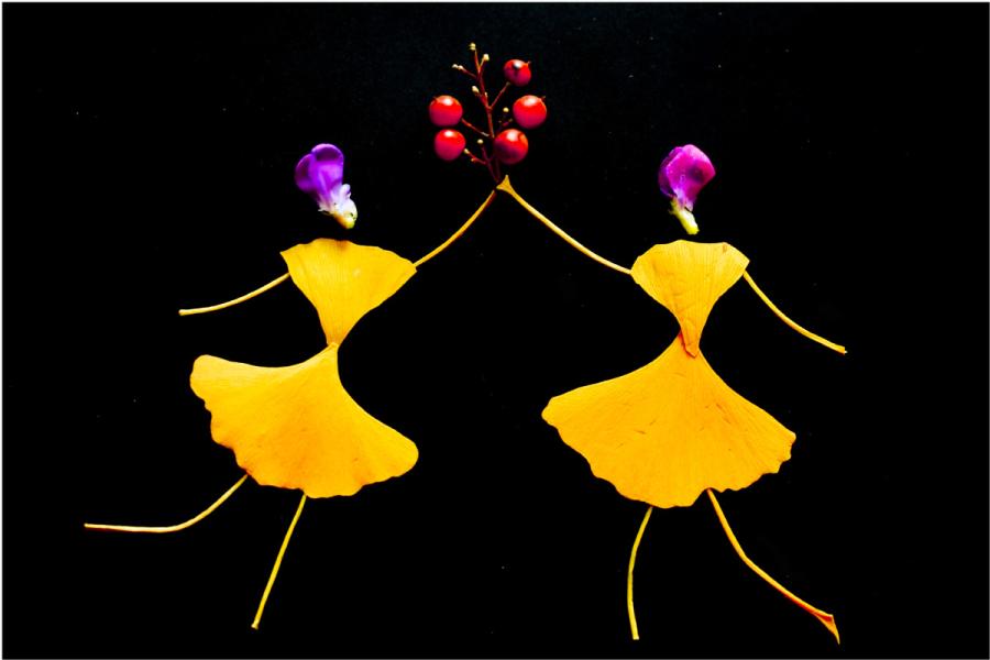 Zhao Shujie of Luohe city in Central China\'s Henan Province likes to pick up fallen leaves and use them to make pictures of vivid dancers. (Photo by Zhao Shujie/chinadaily.com.cn)