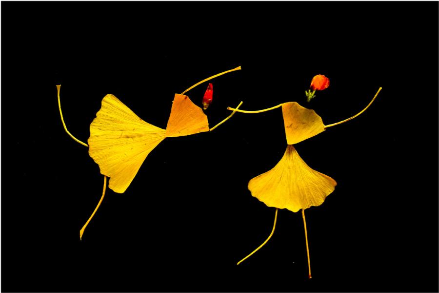 Zhao Shujie of Luohe city in Central China\'s Henan Province likes to pick up fallen leaves and use them to make pictures of vivid dancers. (Photo by Zhao Shujie/chinadaily.com.cn)