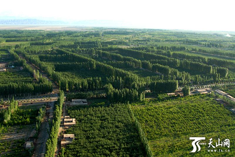 An aerial photo shows the Kekeya green project in Aksu, Northwest China\'s Xinjiang Uyghur autonomous region. (Photo/ts.cn)

On the northwestern side of the Taklimakan Desert, the world\'s second-largest shifting sand desert, stands a man-made forest spreading across about 66,667 hectares.

This forest is the Kekeya green project, also a boundary dividing desert and green space in Aksu, Northwest China\'s Xinjiang Uyghur autonomous region.

Aksu launched the Kekeya green project in 1986 to change the harsh natural conditions. For over 32 years, four million people, including soldiers, students, teachers, civil servants and residents, kept on planting trees, creating a \