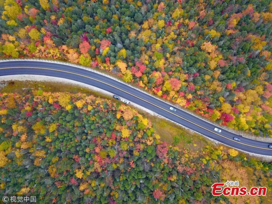 A drone photo shows the mountain road and fall foliage in Vermont, the United States. (Photo/VCG)