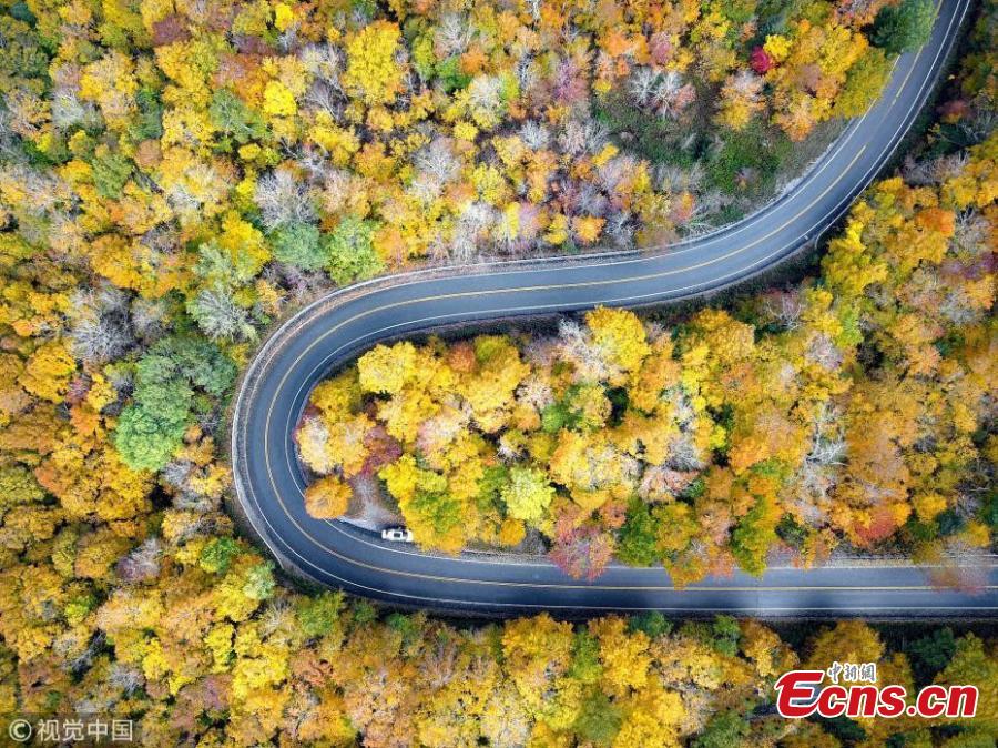 A drone photo shows the mountain road and fall foliage in Vermont, the United States. (Photo/VCG)