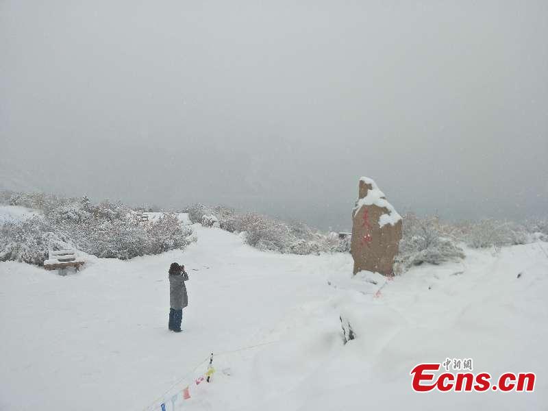Colorful autumn leaves provide a color contrast to early-season snow as a a cold front hits the Tianshan Tianchi scenic area in Northwest China’s Xinjiang Uygur Autonomous Region, as seen in these photos taken on Oct. 17 and 18. (Photo provided to China News Service)