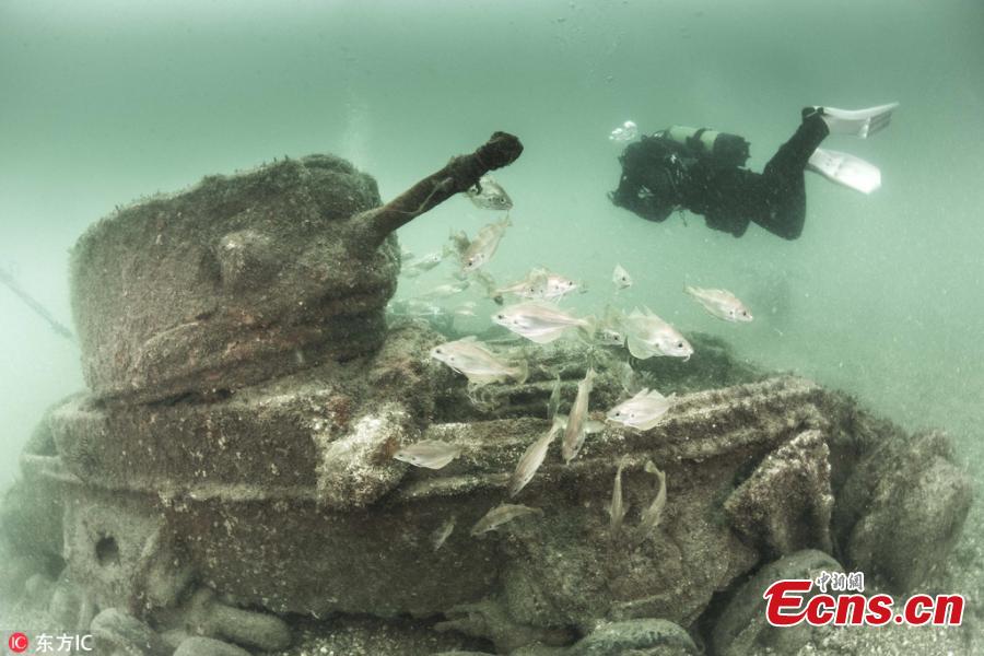 Photo taken by Paul Pettitt shows war tanks sunk during Operation Smash - a huge training exercise held on a Dorset beach in April 1944, just weeks ahead of the Normandy landings in 1944. Six lives were lost during the drill. Paul Pettitt, who photographed the wrecks with his wife Alison, said those pictures were done over the course of a whole summer. (Photo/IC)