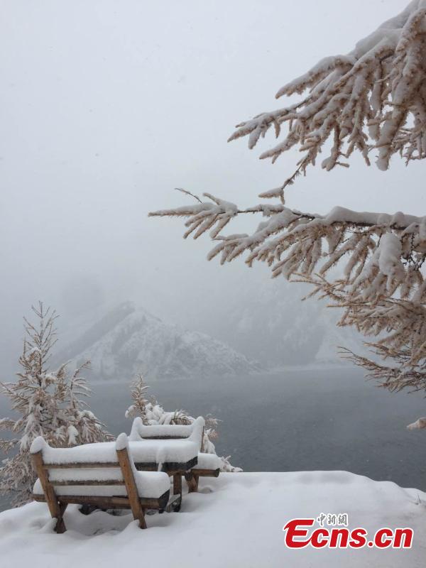 Colorful autumn leaves provide a color contrast to early-season snow as a a cold front hits the Tianshan Tianchi scenic area in Northwest China’s Xinjiang Uygur Autonomous Region, as seen in these photos taken on Oct. 17 and 18. (Photo provided to China News Service)