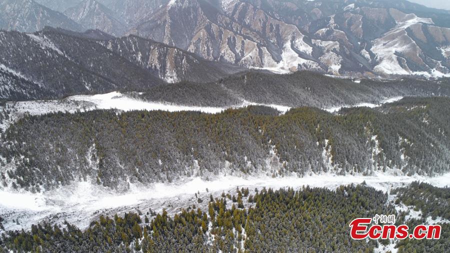 Fresh snow adds charm to trees, a river, and grassland at the foot of Qilian Mountain in Zhangye City, Northwest China’s Gansu Province, Oct. 21, 2018. (Photo: China News Service/Duo Dan)