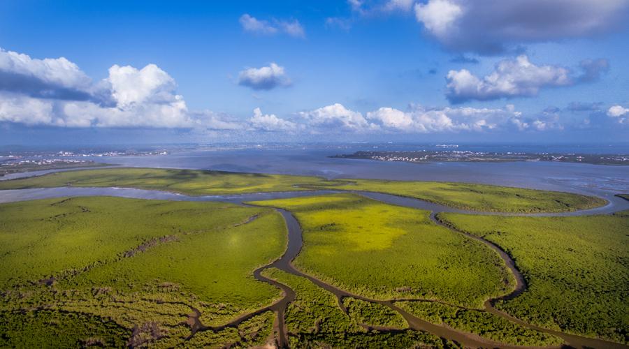 Haikou in Hainan Province has pioneered its efforts to preserve ecosystems. (Photo provided to chinadaily.com.cn)

Haikou, the capital of China\'s southernmost Hainan Province and a renowned tourist city famous for its charming coconut trees and warm sunshine, is transforming itself into a destination that also features rich and lush wetlands, thanks to enviable progress made in the restoration of its local ecosystems.

For locals, it\'s all been good.

The Meishe River, known as Haikou\'s \