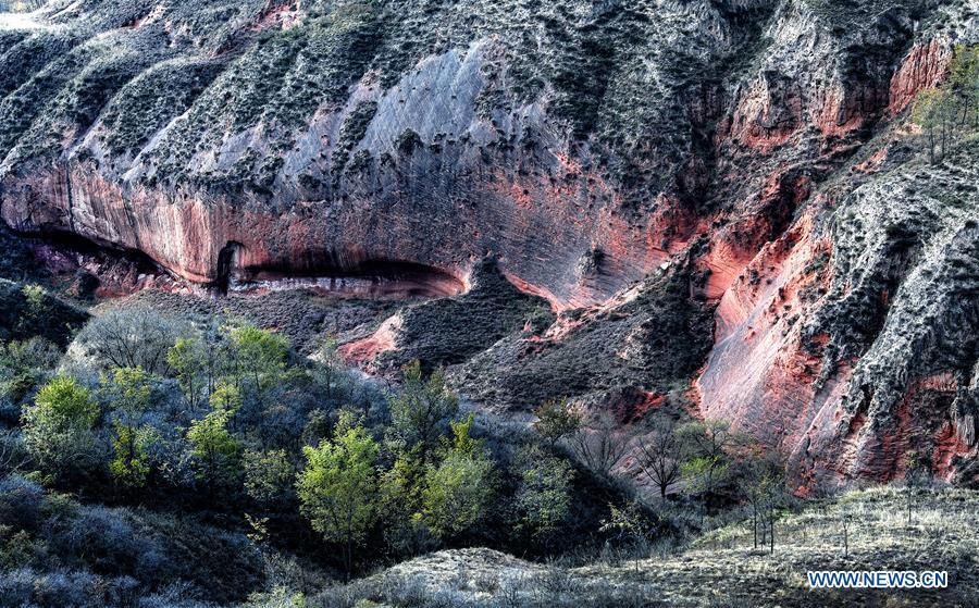 Photo taken on Oct. 21, 2018 shows a view of Danxia landform at Wangjiawan of Pingqiao Town in Ansai District of Yan\'an, northwest China\'s Shaanxi Province. Danxia landform is a unique type of geomorphology formed from red-colored sandstones and characterized by steep cliffs. (Xinhua/Tao Ming)