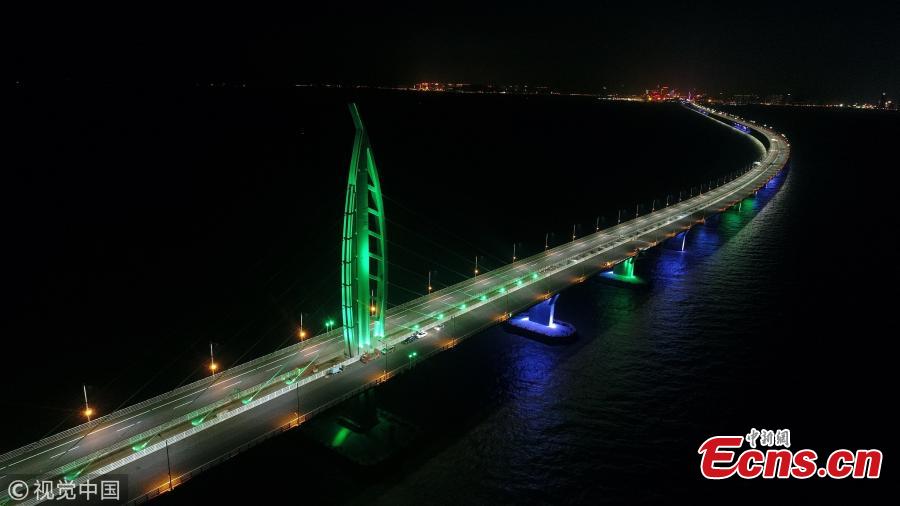 Jiuzhou channel bridge, part of the Hong Kong-Zhuhai-Macao Bridge. (Photo/VCG)