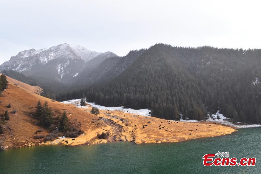 Fresh snow adds charm to trees, a river, and grassland at the foot of Qilian Mountain in Zhangye City, Northwest China’s Gansu Province, Oct. 21, 2018. (Photo: China News Service/Duo Dan)