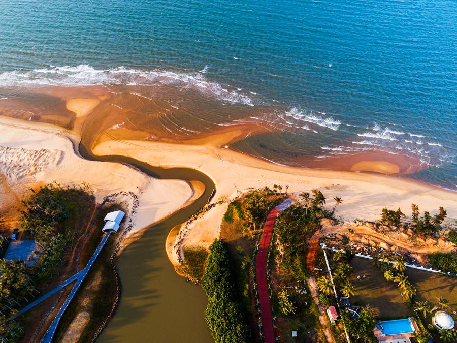 A corner of a coastal wetland in western Haikou. (Photo provided to chinadaily.com.cn)

He said the city has also issued a number of legal regulations and compiled a master list on wetland protection, to safeguard its ecological resources.

\