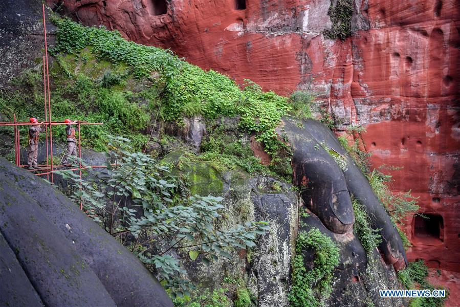 Workers install scaffolds for the examination work of the Leshan Giant Buddha in Leshan City, southwest China\'s Sichuan Province, Oct. 19, 2018. The examination of Leshan Giant Buddha started on Oct. 8 to collect data for better restoration. (Xinhua/Zhang Chaoqun)