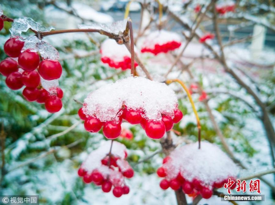 The first snow before winter hits Changchun City, Northeast China’s Jilin Province, Oct. 28, 2018. (Photo/VCG)