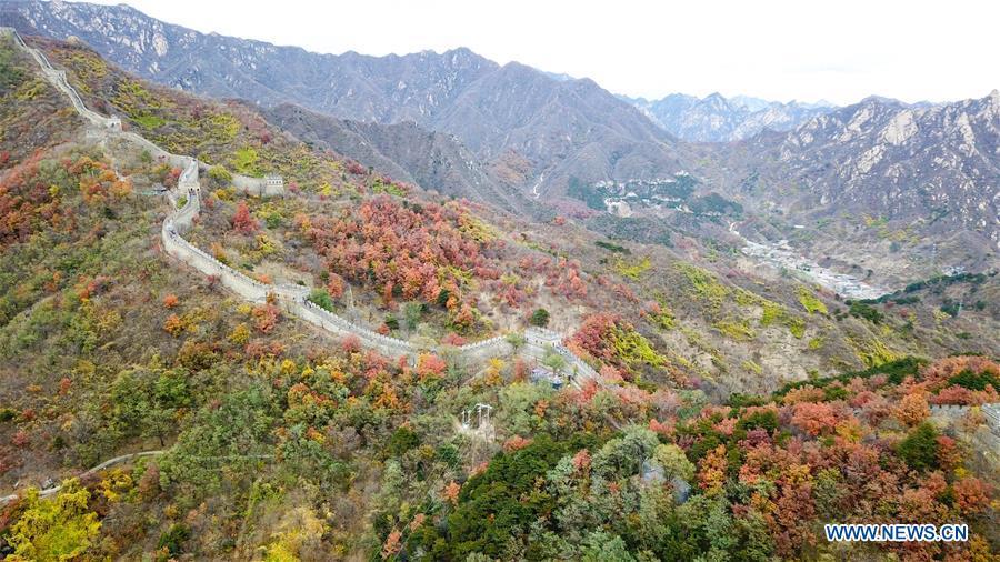 Aerial photo taken on Oct. 28, 2018 shows the autumn scenery of the Mutianyu Great Wall in Beijing, capital of China. (Xinhua/Chen Yehua)
