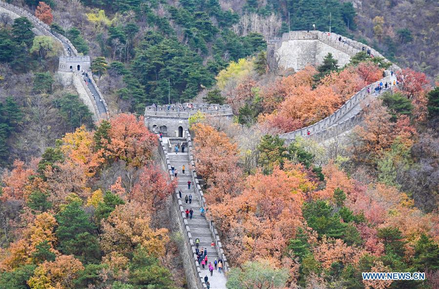 Aerial photo taken on Oct. 28, 2018 shows the autumn scenery of the Mutianyu Great Wall in Beijing, capital of China. (Xinhua/Chen Yehua)