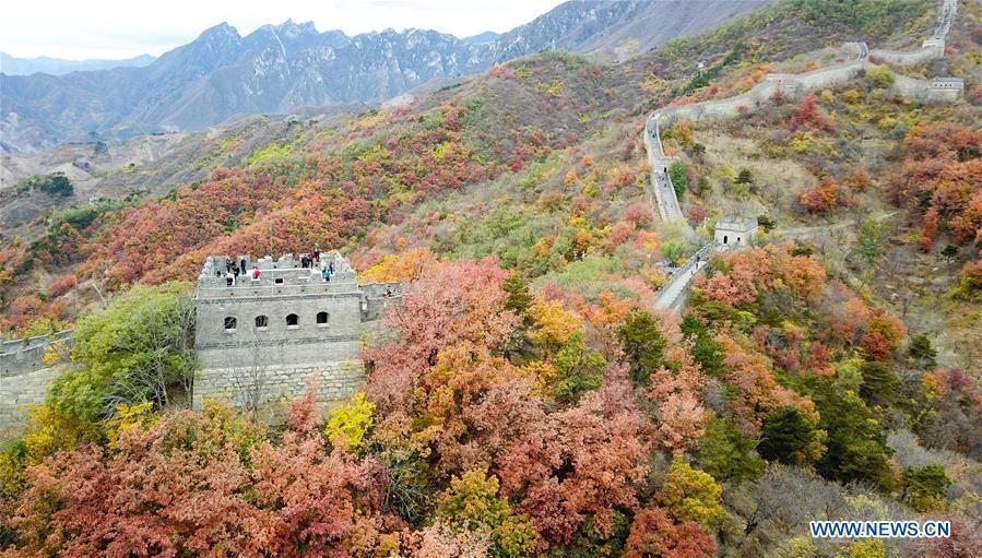 Aerial photo taken on Oct. 28, 2018 shows the autumn scenery of the Mutianyu Great Wall in Beijing, capital of China. (Xinhua/Chen Yehua)