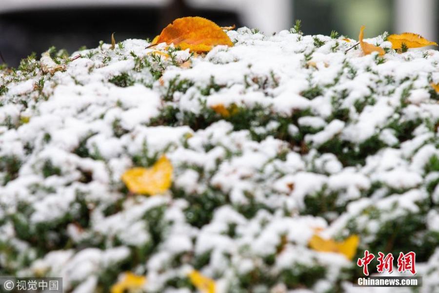The first snow before winter hits Changchun City, Northeast China’s Jilin Province, Oct. 28, 2018. (Photo/VCG)