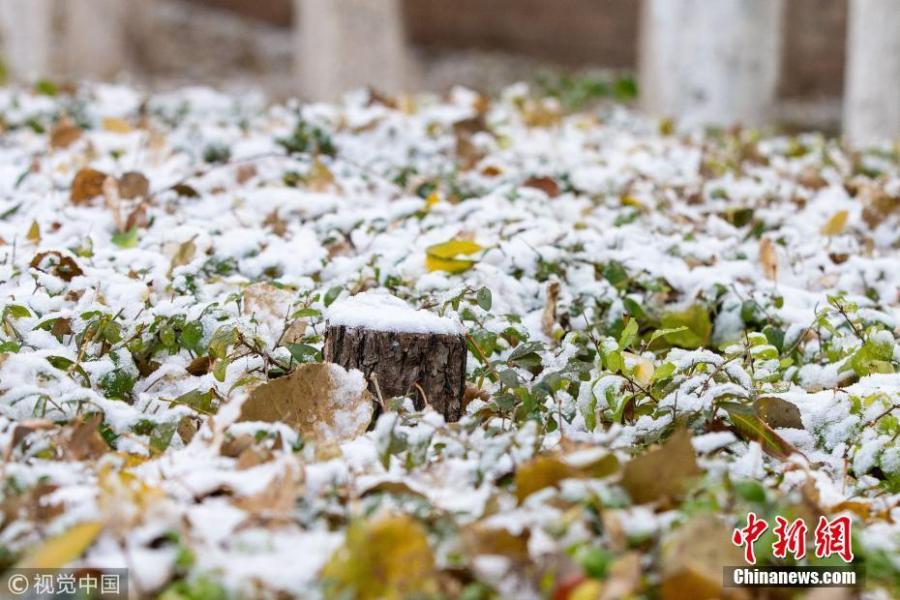 The first snow before winter hits Changchun City, Northeast China’s Jilin Province, Oct. 28, 2018. (Photo/VCG)