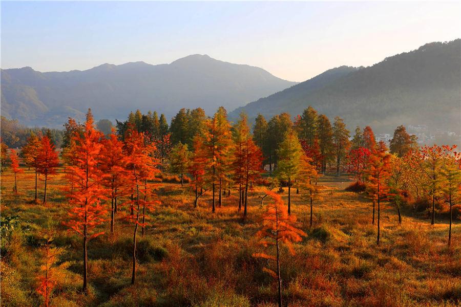 Morning mist casts a beautiful shadow above the Qishu Lake in Huangshan, East China\'s Anhui Province, Oct. 29, 2018. Located 2 kilometers from Hongcun village, a UNESCO World Cultural Heritage site, the lake offers a day tour of both natural scenery and historical gems. (Photo/Aisanewsphoto)