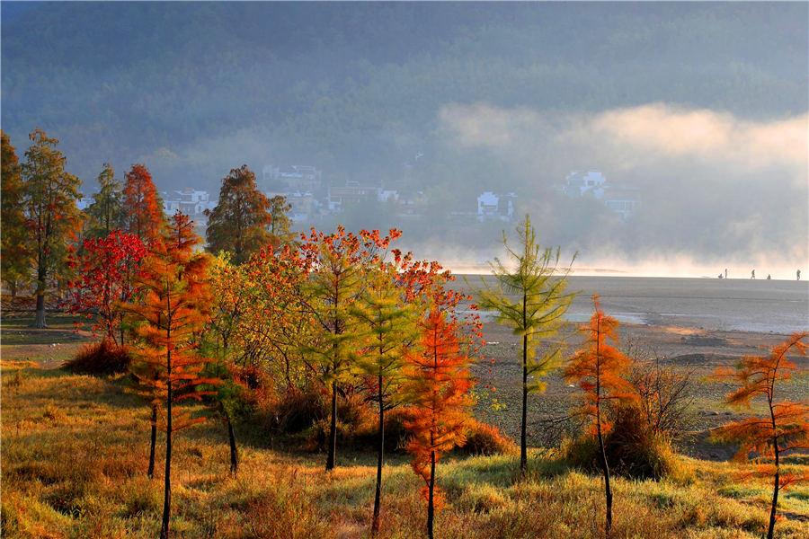 Morning mist casts a beautiful shadow above the Qishu Lake in Huangshan, East China\'s Anhui Province, Oct. 29, 2018. Located 2 kilometers from Hongcun village, a UNESCO World Cultural Heritage site, the lake offers a day tour of both natural scenery and historical gems. (Photo/Aisanewsphoto)
