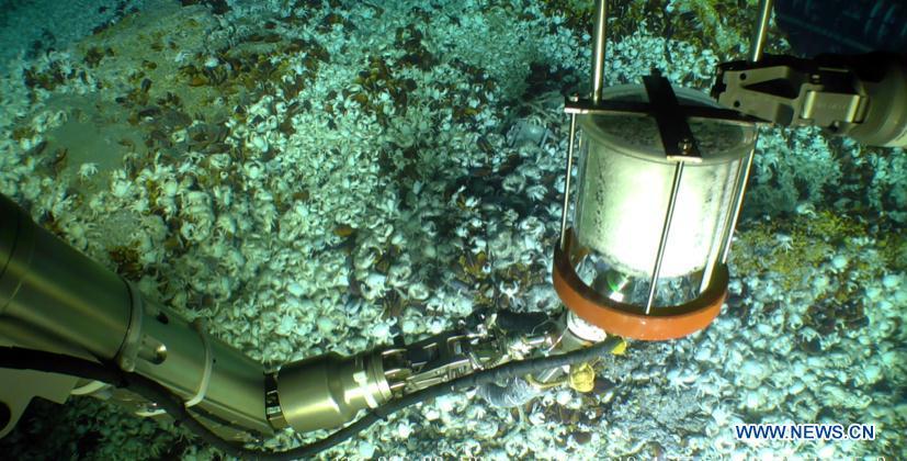 Photo taken on Oct. 9, 2018 shows Haixing 6000, one of China\'s underwater robots, during a research expedition. Haixing 6000 set a national depth record for a Chinese remotely operated vehicle, by diving 6,001 meters below sea surface during its first research expedition, scientists told Xinhua Sunday. Haixing 6000 was developed by a team at the Shenyang Institute of Automation under the Chinese Academy of Sciences. It is the first remotely operated underwater vehicle built by China that is capable of diving 6,000 meters, said Li Zhigang, chief scientist of the team. It reached a maximum depth of 6,001 meters, and completed a series of underwater tasks in three hours, including deep-sea observation, biological research, soil and water sample collection, and a simulative black box search. (Xinhua)