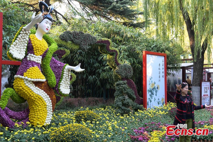 The 39th Baotu Spring Chrysanthemum Flower Festival opens in Jinan, East China\'s Shandong Province, Oct. 30, 2018. The fair showcases approximately 100,000 pots of chrysanthemum. The Baotu Spring is a culturally significant artesian karst spring in the city. (Photo: China News Service/Zhang Yong)