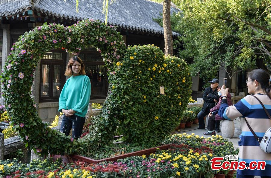 The 39th Baotu Spring Chrysanthemum Flower Festival opens in Jinan, East China’s Shandong Province, Oct. 30, 2018. The fair showcases approximately 100,000 pots of chrysanthemum. The Baotu Spring is a culturally significant artesian karst spring in the city. (Photo: China News Service/Zhang Yong)