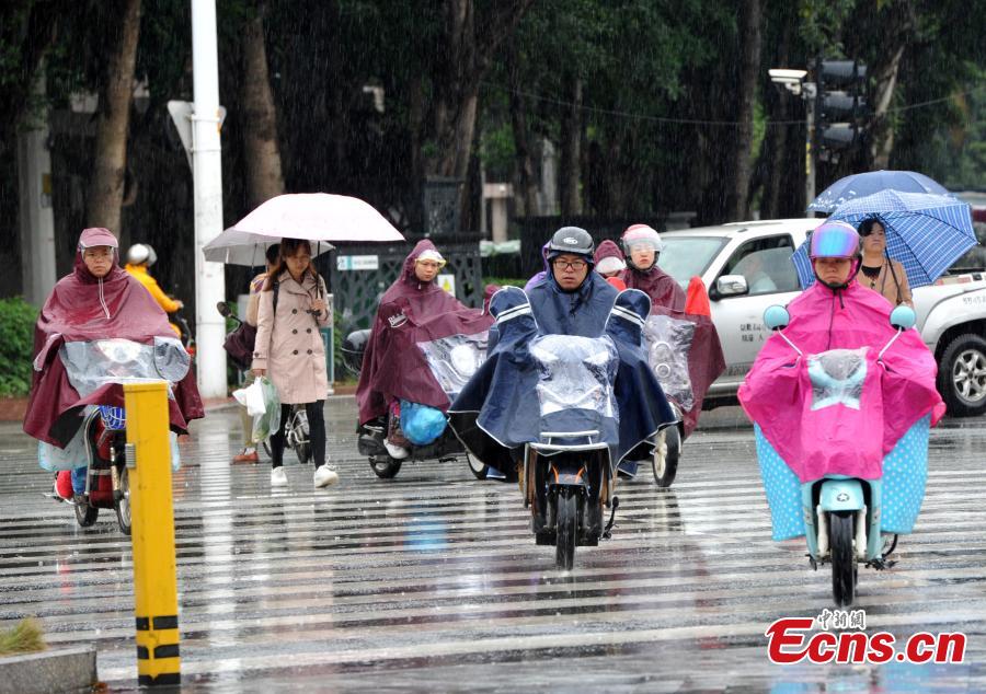People walk in rain in Fuzhou, southeast China\'s Fujian province on November 2, 2018. According to the provincial meteorological center, as of 5 a.m., Yutu was located about 355 kilometers ofthe coast of Fujian\'s Dongshan county. (Photo: China News Service/ Zhang Bin)