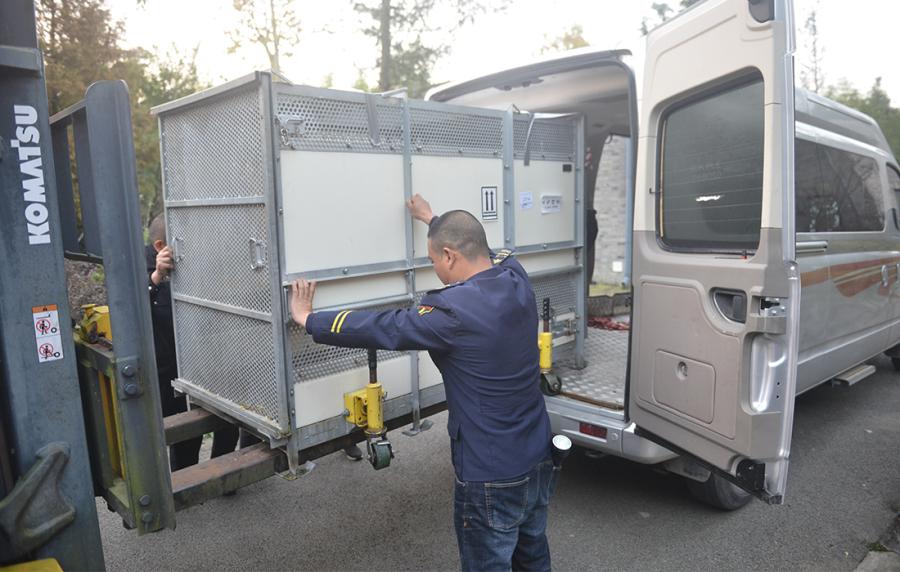 Gao Gao arrived at the base of the China Conservation and Research Center of Giant Pandas on Thursday morning. (Photo/Courtesy of China Conservation and Research Center of Giant Pandas)
