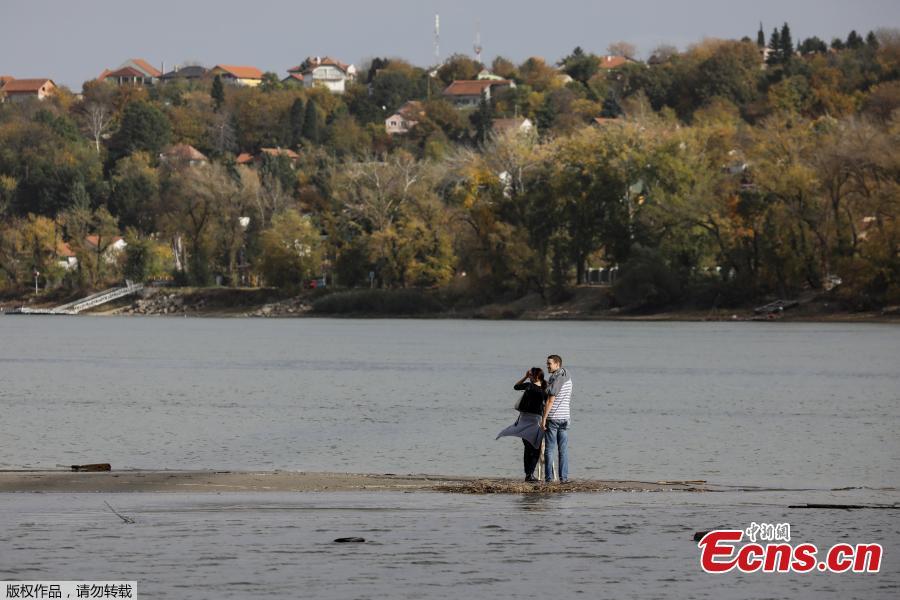 A couple stands on sandbanks which emerged amid Danube River\'s lowest water levels this year, in Novi Sad, Serbia, October 30, 2018. Picture taken October 30, 2018. (Photo/Agencies)