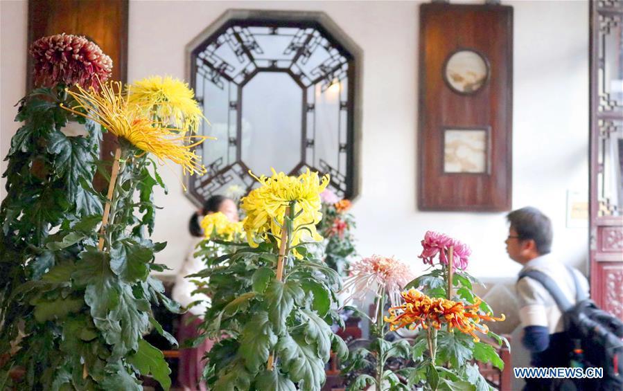 Photo taken on Nov. 1, 2018 shows chrysanthemums exhibited at the Lion Forest Garden, one of the four Suzhou classical gardens, in Suzhou, east China\'s Jiangsu Province. The one-month 2018 chrysanthemum exhibition opened here on Thursday. (Xinhua/Wang Jiankang)
