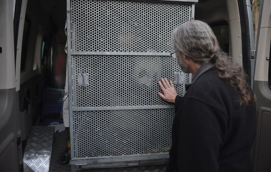 A breeder from the San Diego Zoo interacts with Gao Gao. (Photo/Courtesy of China Conservation and Research Center of Giant Pandas)