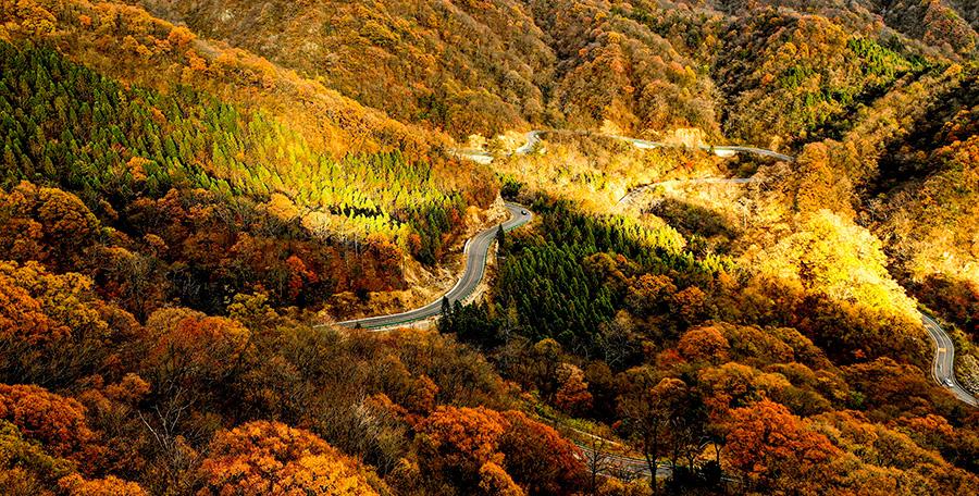 An autumn view of the Mazongling National Nature Reserve, Jinzhai county, Anhui Province, Nov. 14, 2018.(Photo/Asianewsphoto)
