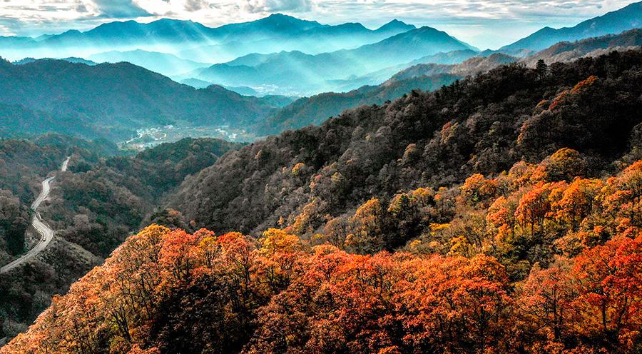 An autumn view of the Mazongling National Nature Reserve, Jinzhai county, Anhui Province, Nov. 14, 2018.(Photo/Asianewsphoto)