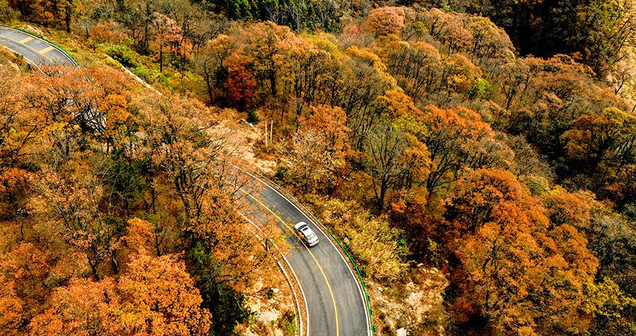 An autumn view of the Mazongling National Nature Reserve, Jinzhai county, Anhui Province, Nov. 14, 2018.(Photo/Asianewsphoto)