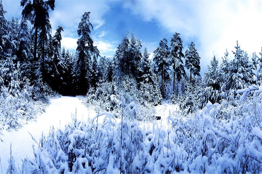 Would you like to see magnificent views of Changbai Mountain in the winter? The amazing snow-covered Heavenly Lake and hot spring will provide you a unique experience if you travel there. (Photo provided to chinadaily.com.cn)
