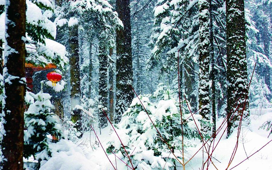 Would you like to see magnificent views of Changbai Mountain in the winter? The amazing snow-covered Heavenly Lake and hot spring will provide you a unique experience if you travel there. (Photo provided to chinadaily.com.cn)