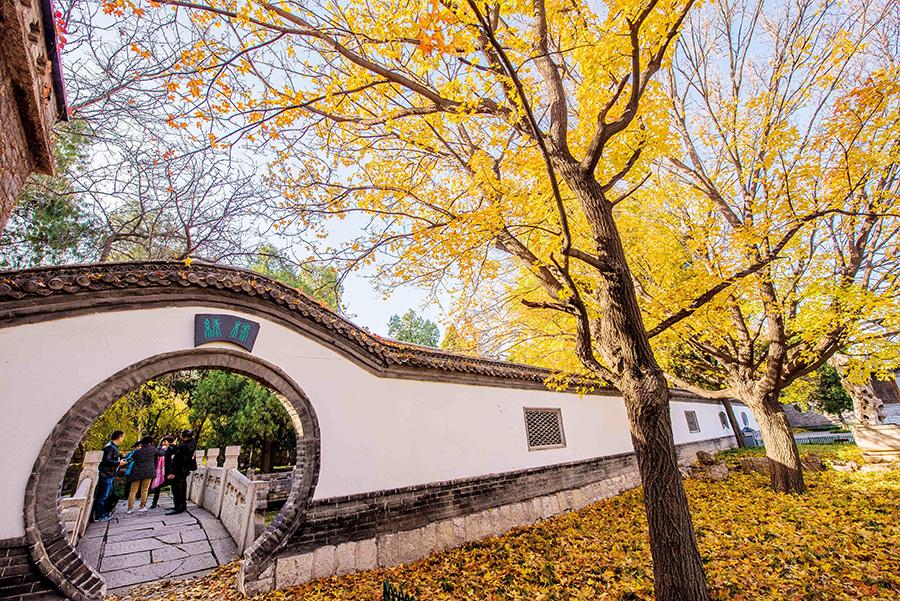 Colorful tree leaves and ancient-style buildings have made the early wintry scene in the old town area of ancient town Qingzhou, Weifang city, Shandong Province, an interesting mix. (Photo/Asianewsphoto)