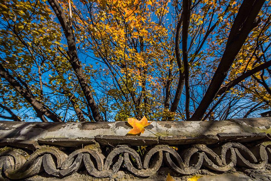 Colorful tree leaves and ancient-style buildings have made the early wintry scene in the old town area of ancient town Qingzhou, Weifang city, Shandong Province, an interesting mix. (Photo/Asianewsphoto)