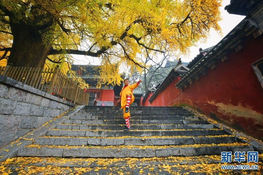 A monk practices martial arts under autumn leaves at the Shaolin Temple, located at the foot of Songshan Mountain, Henan Province, November 11, 2018. (Photo/Xinhua)