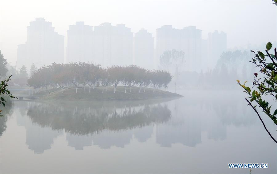 A park is cloaked with thick fog in Bozhou, east China\'s Anhui Province, Nov. 13, 2018. (Xinhua/Zhang Yanlin)