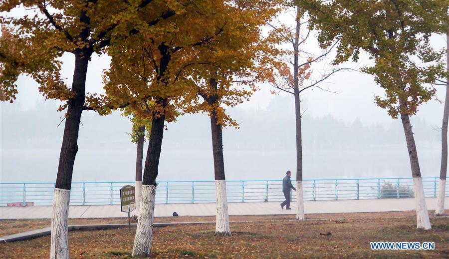 A man walks in a park in thick fog in Bozhou, east China\'s Anhui Province, Nov. 13, 2018. (Xinhua/Zhang Yanlin)