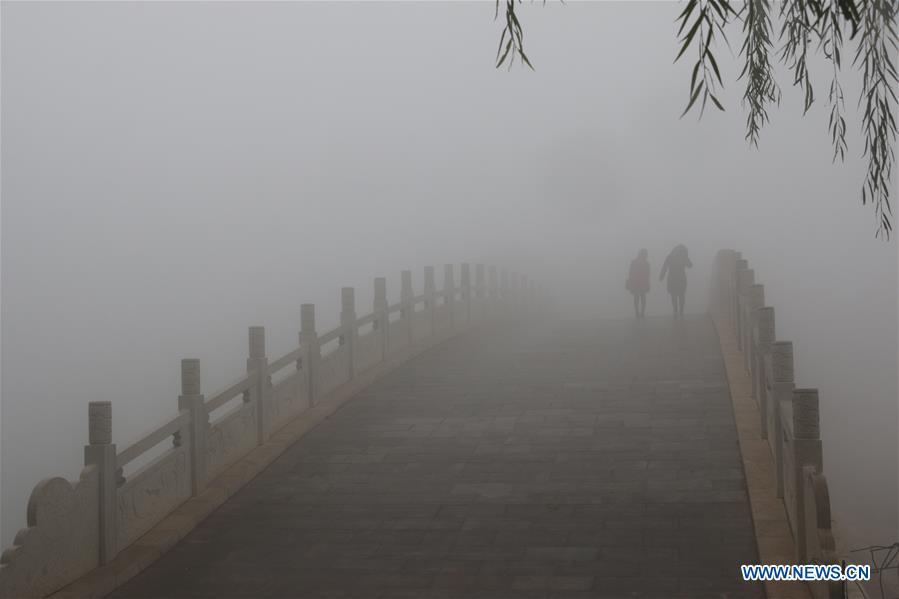 Citizens walk in a park in thick fog in Handan, north China\'s Hebei Province, Nov. 13, 2018. (Xinhua/Cheng Xuehu)