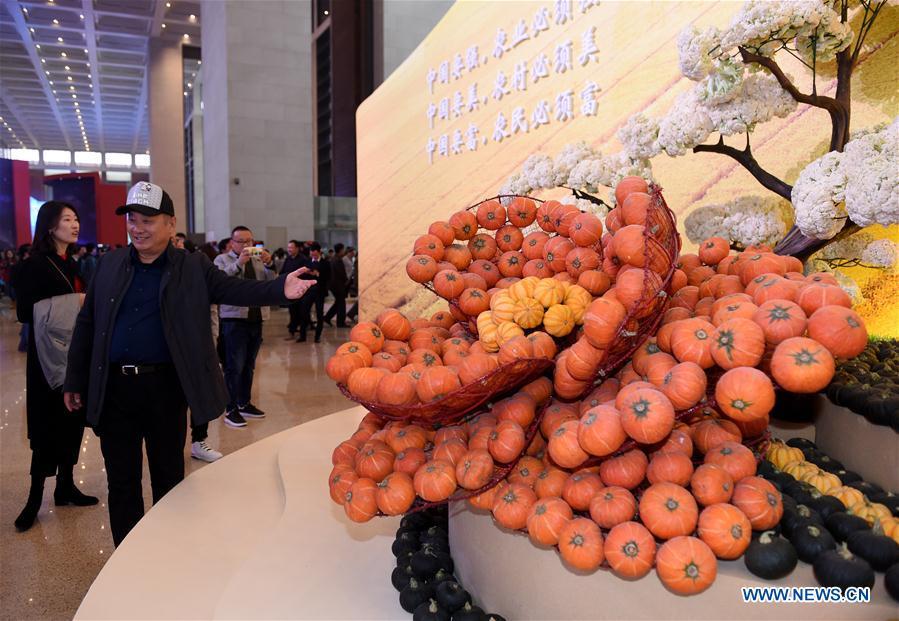 People visit a major exhibition to commemorate the 40th anniversary of China\'s reform and opening-up at the National Museum of China in Beijing, capital of China, Nov. 14, 2018. (Xinhua/Luo Xiaoguang)