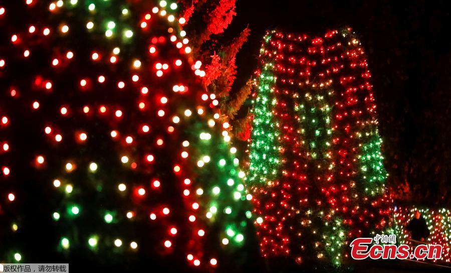 Visitors walk along illuminated objects during the Christmas Garden event at a botanic garden in Berlin, Germany, November 15, 2018. (Photo/Agencies)