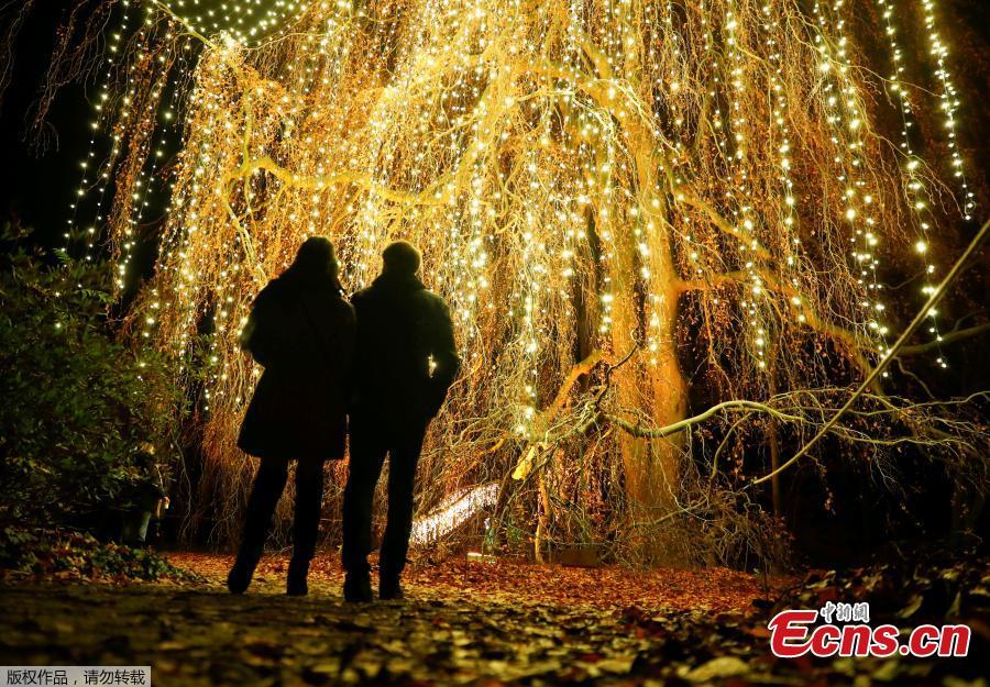 Visitors walk along illuminated objects during the Christmas Garden event at a botanic garden in Berlin, Germany, November 15, 2018. (Photo/Agencies)