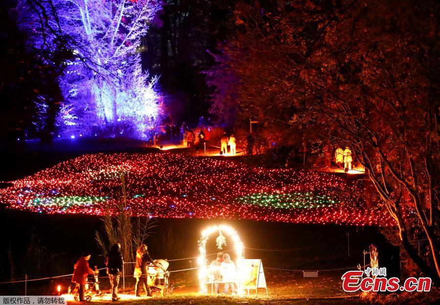 Visitors walk along illuminated objects during the Christmas Garden event at a botanic garden in Berlin, Germany, November 15, 2018. (Photo/Agencies)