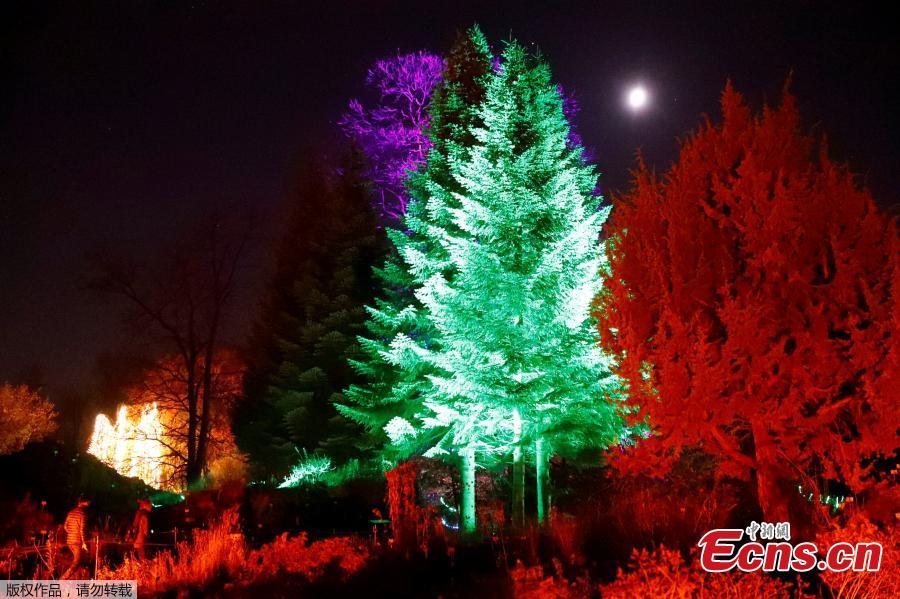 Visitors walk along illuminated objects during the Christmas Garden event at a botanic garden in Berlin, Germany, November 15, 2018. (Photo/Agencies)