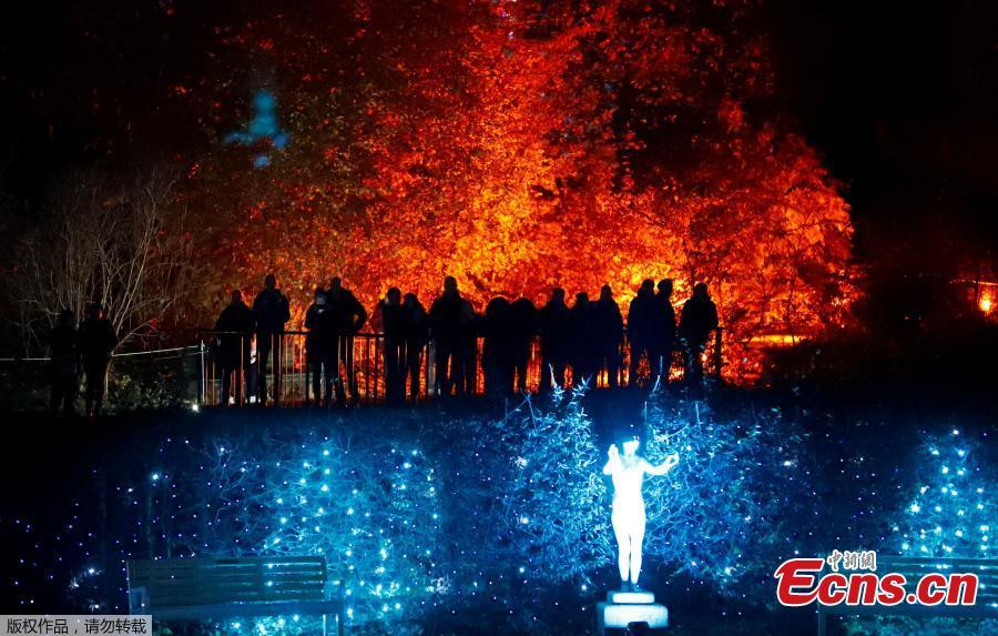 Visitors walk along illuminated objects during the Christmas Garden event at a botanic garden in Berlin, Germany, November 15, 2018. (Photo/Agencies)